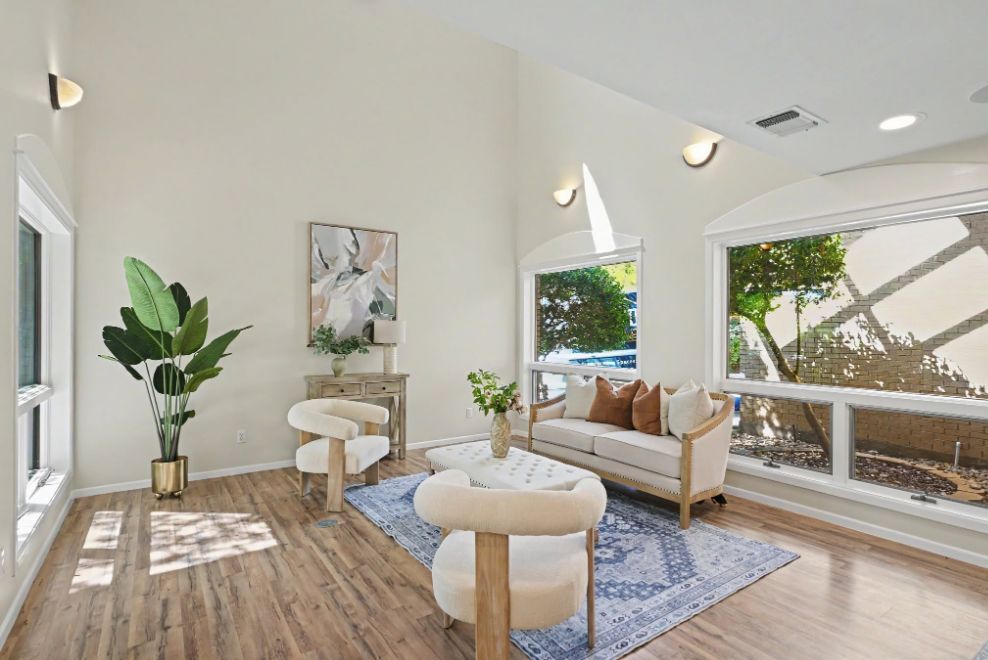 Sunlit sitting room staged with sculptural cream chairs and blue rug